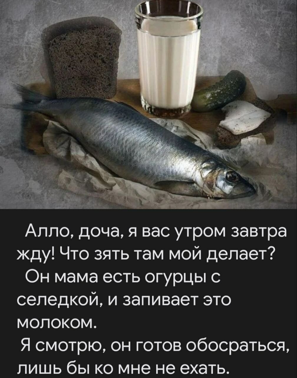 Демотиваторы ржачные