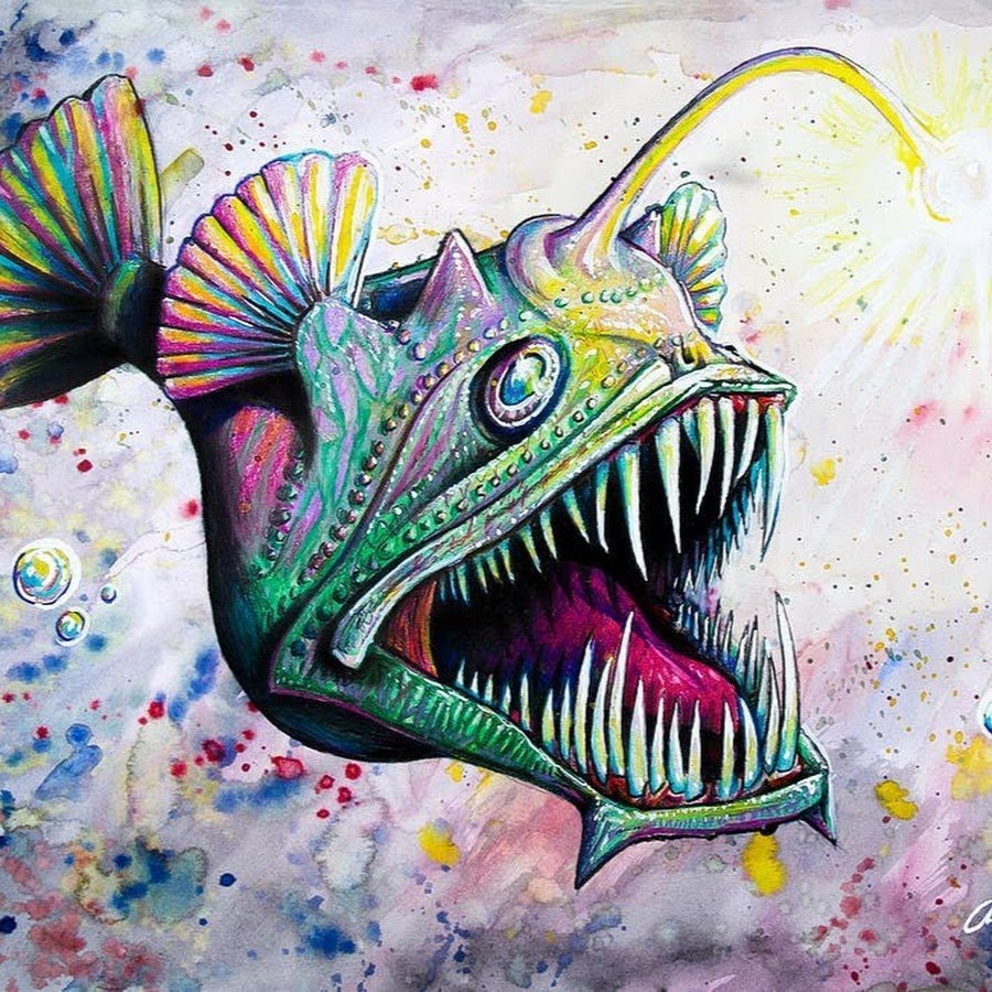 Китовая акула и большеротая