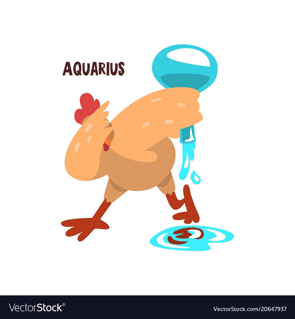 Знак зодиака Водолей петух