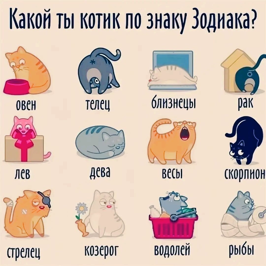 Что любят знаки зодиака