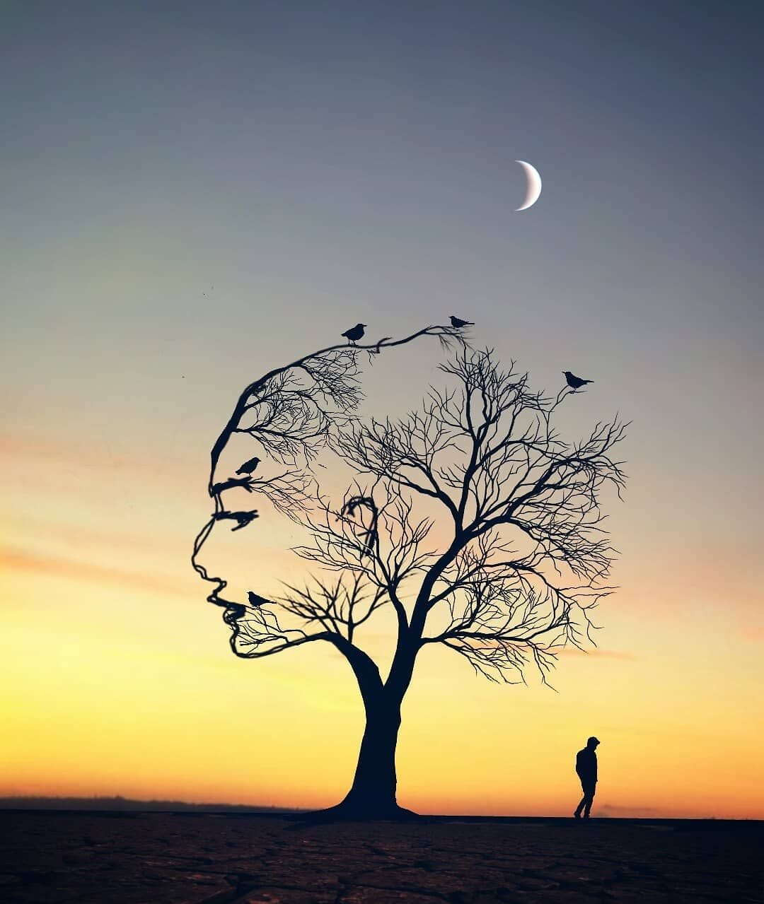 Страшное дерево