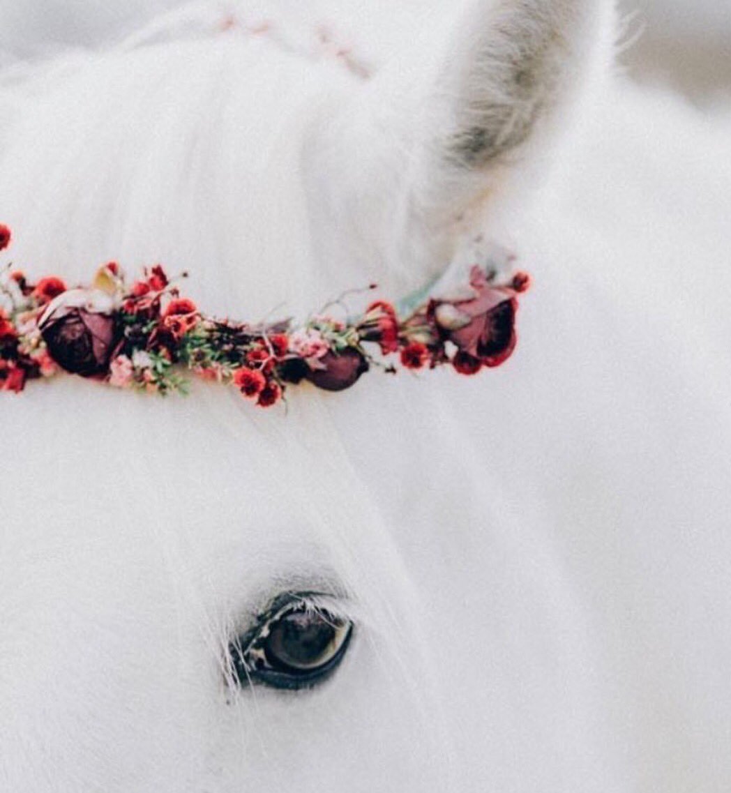 Лошадь с цветами