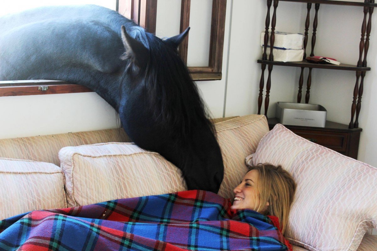 Конь в цветах