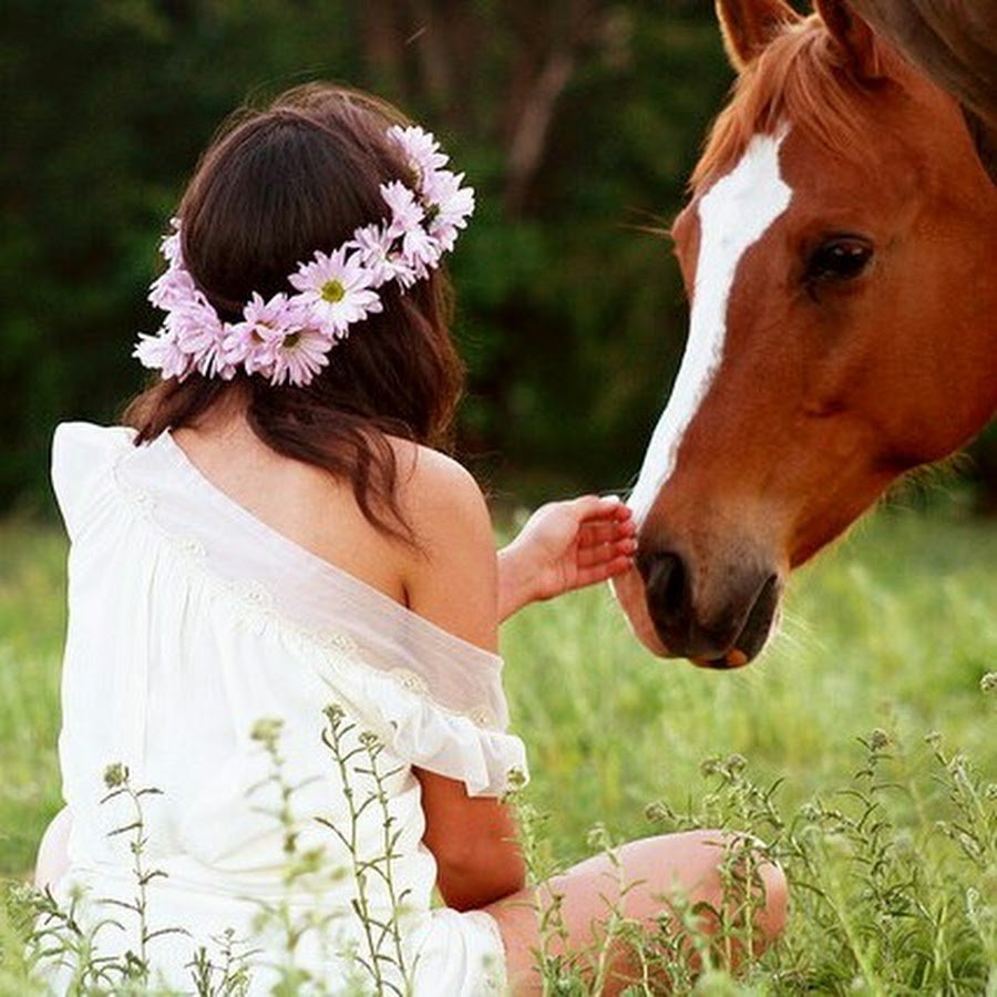 С добрым утром девушке с лошадьми
