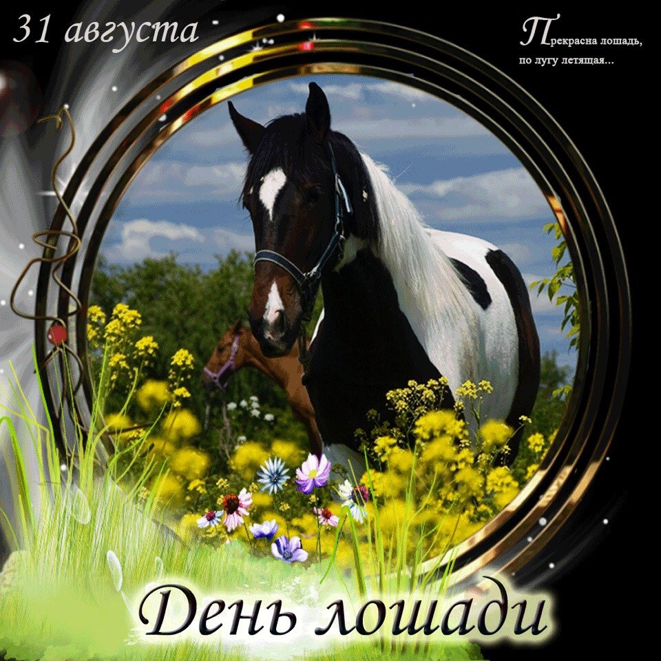 Лошадь и собака