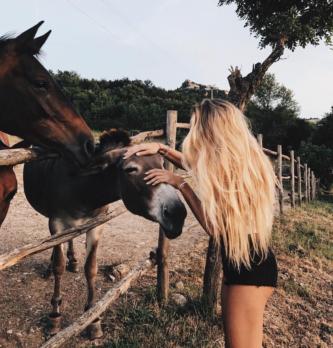 Девушка гладит лошадь