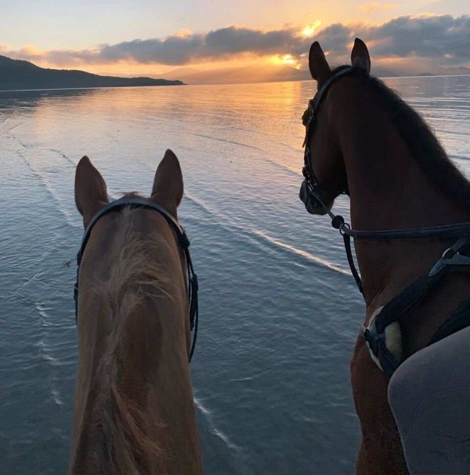 Доброе утро в горах с лошадьми