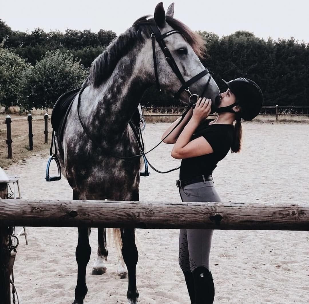 Белая лошадь Эстетика