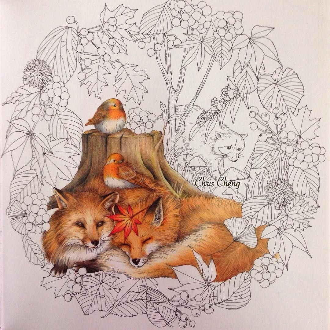 Лиса с лисенком эскиз