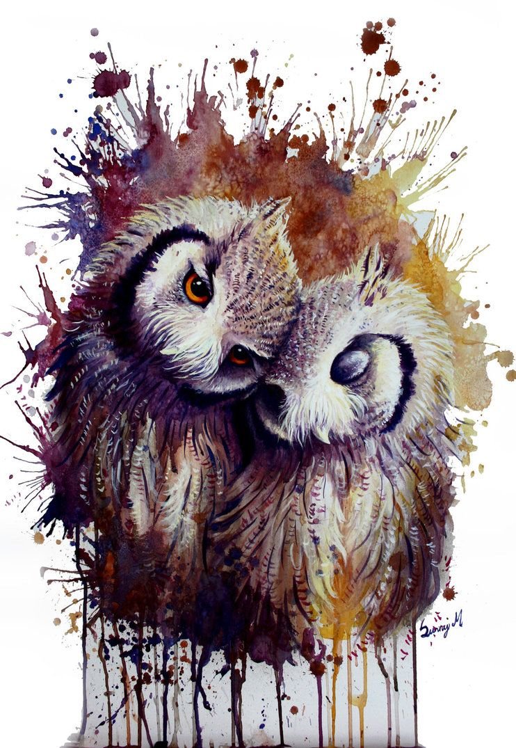 Сова рисунок