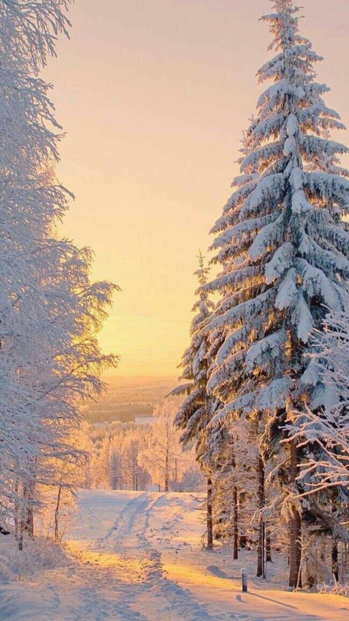 Зимний закат