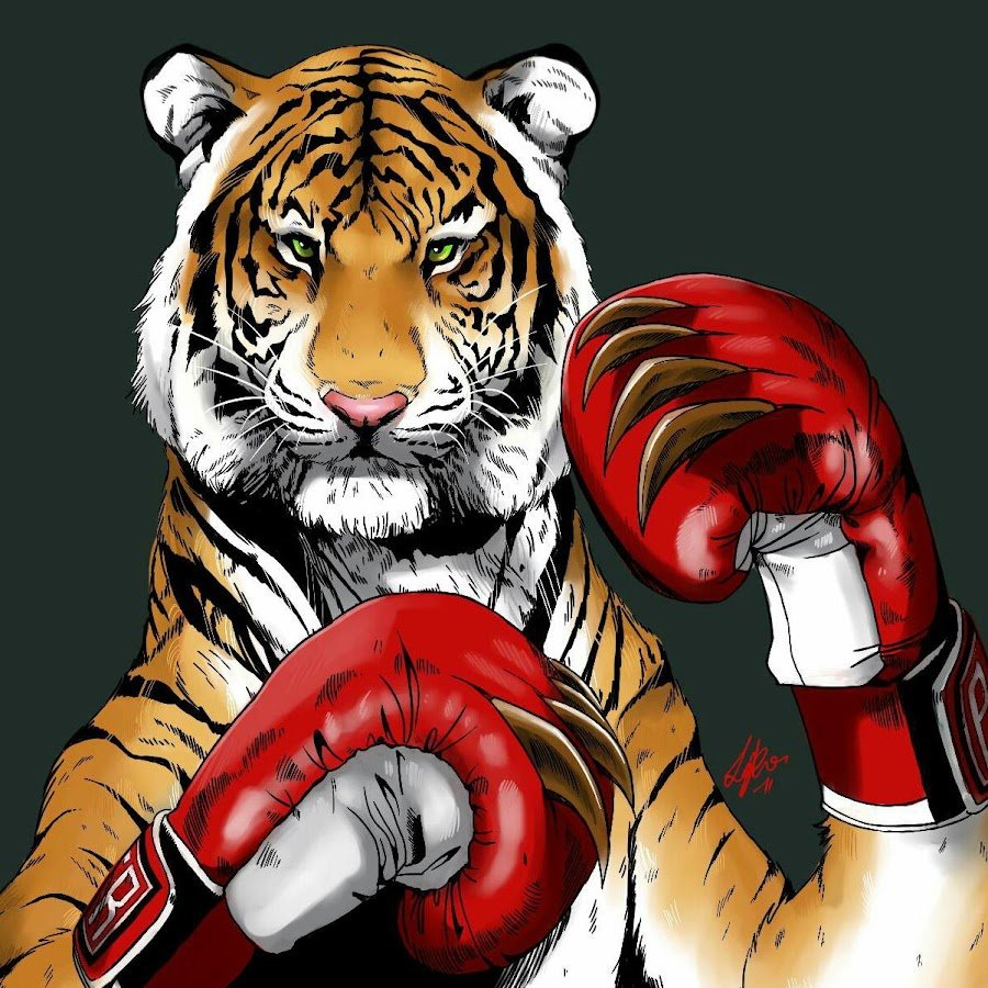 Тигр с разных ракурсов