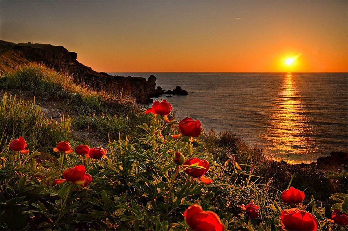 Спокойной ночи солнышко картинки красивые