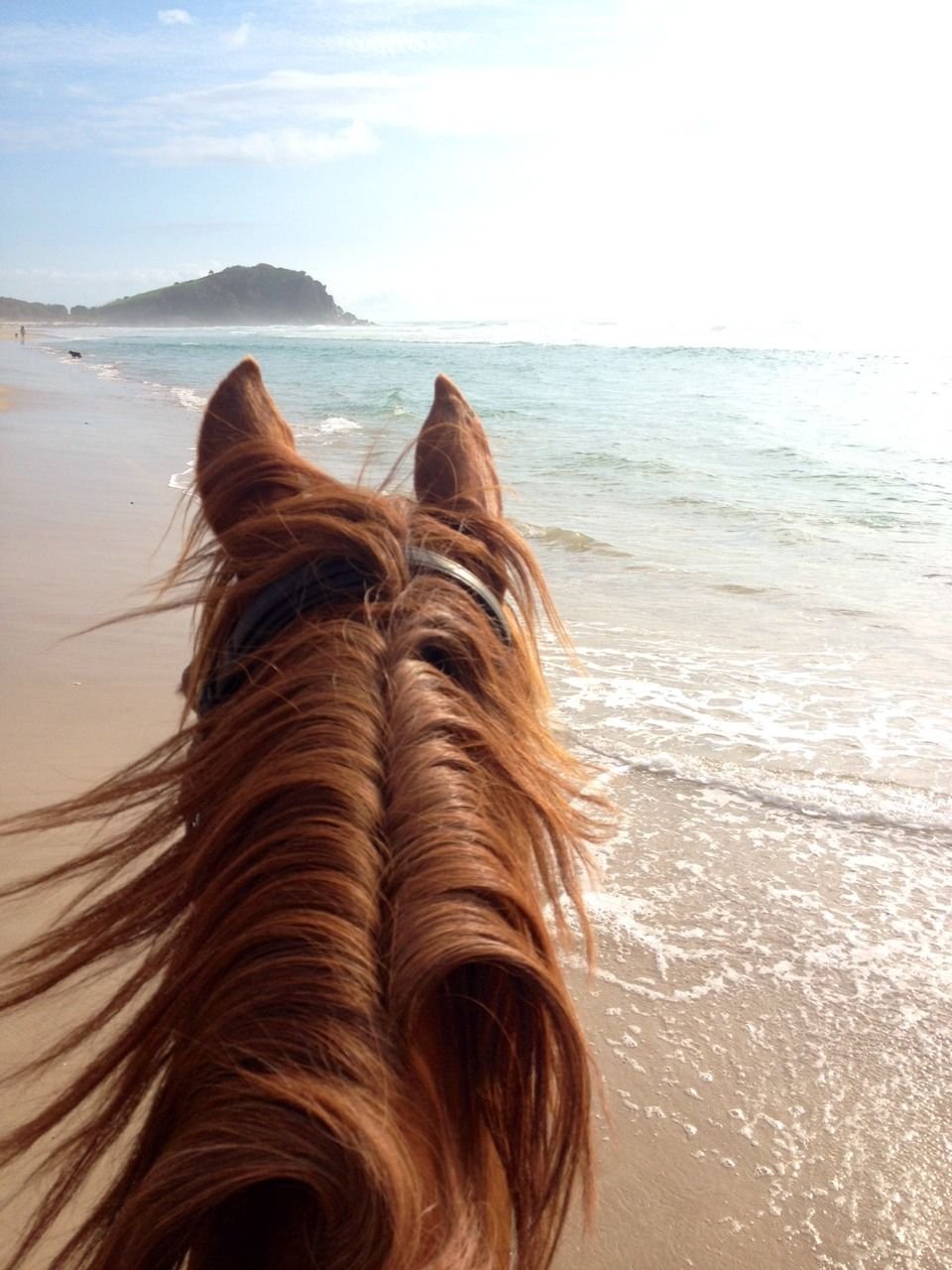 Ципинова Мадина