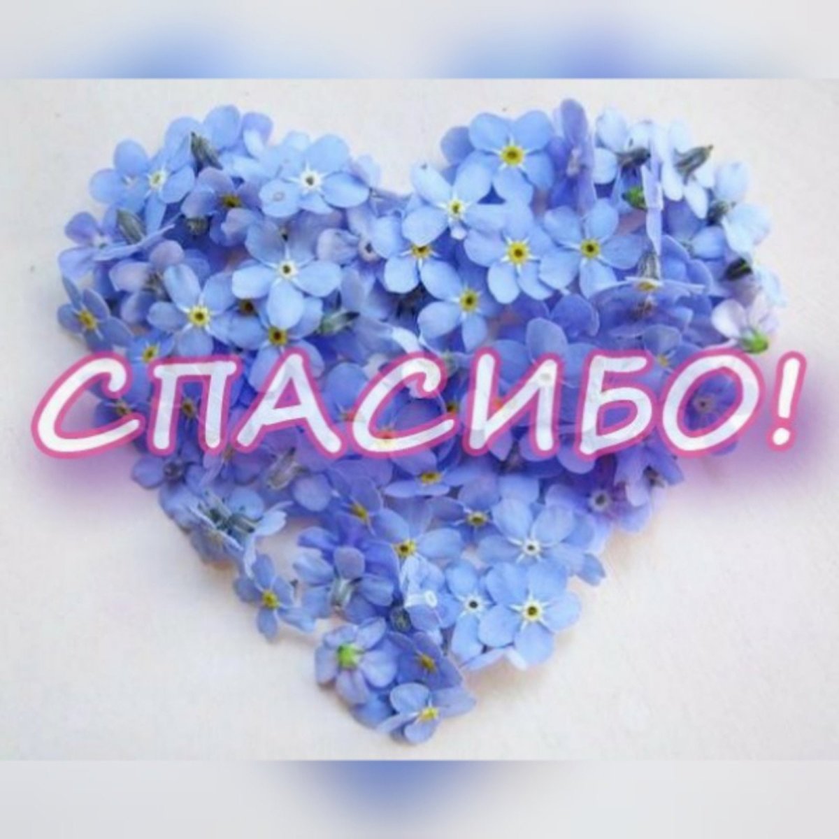 Спасибо картинки