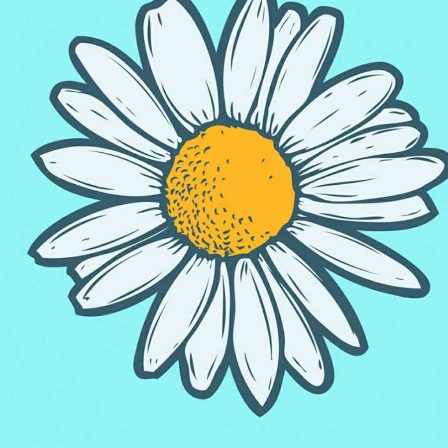 Ромашка для срисовки