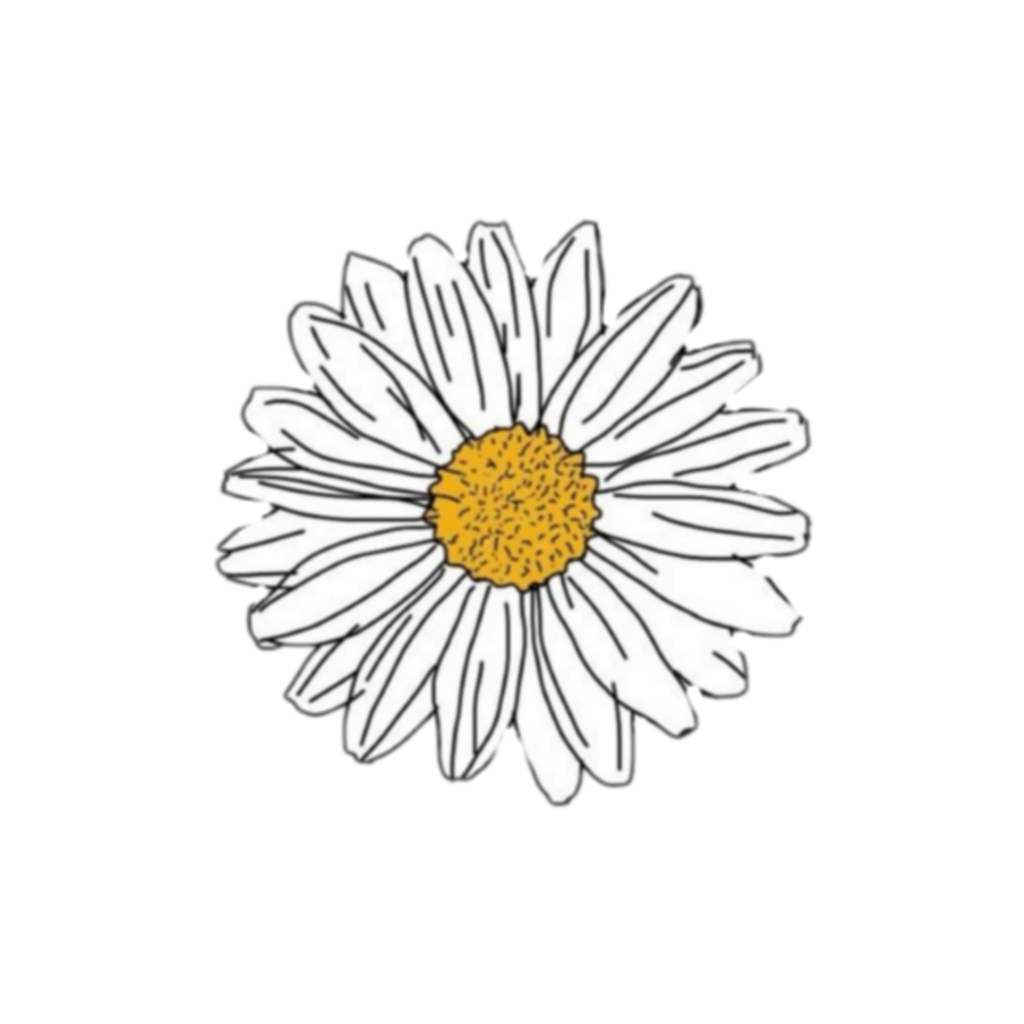 Ромашка рисунок