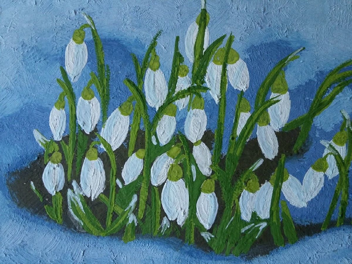 Курундаков подснежники