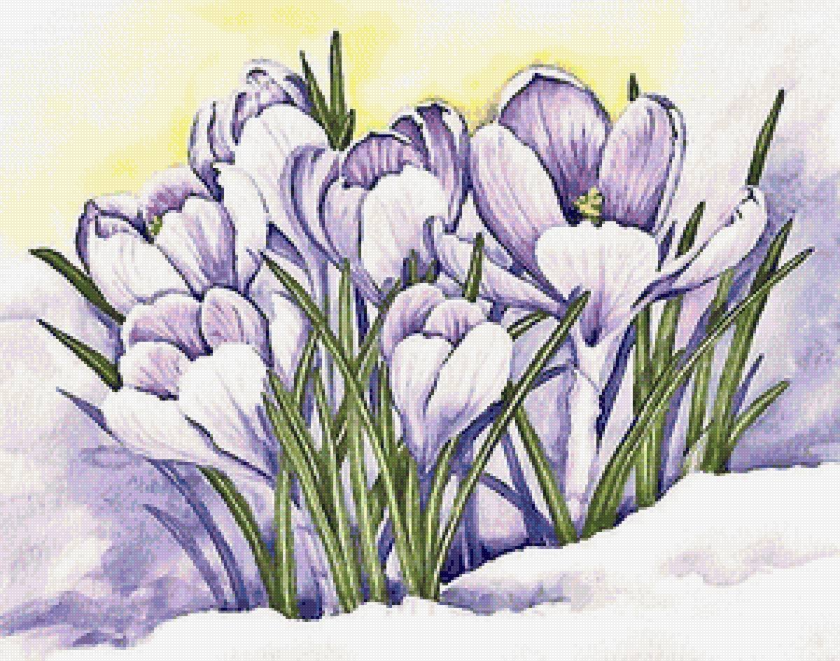 Подснежники гуашью