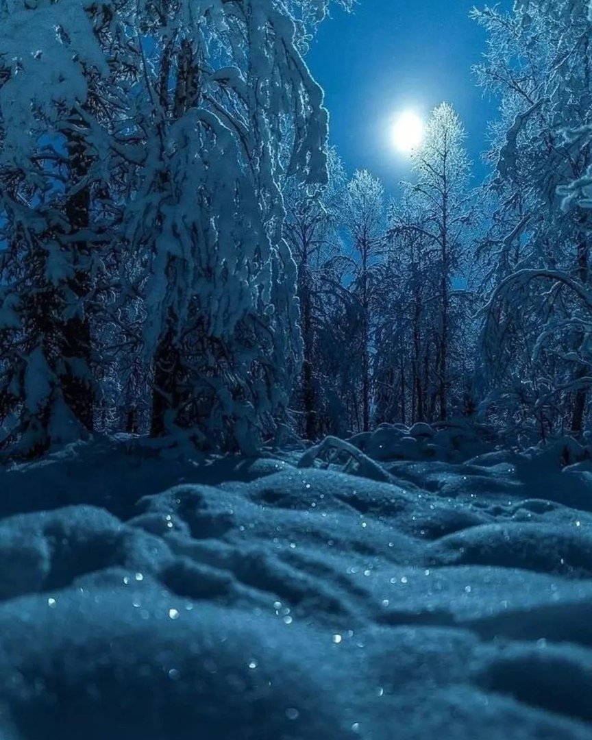 Морозная зимняя ночь