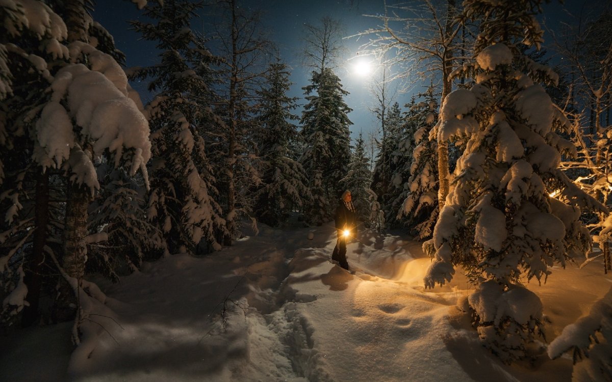 Зимняя ночь