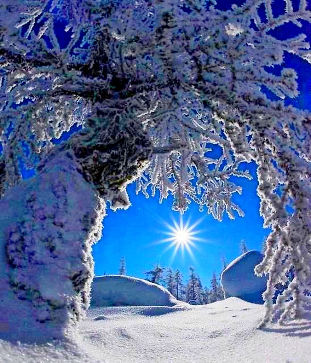 Зимняя ночь