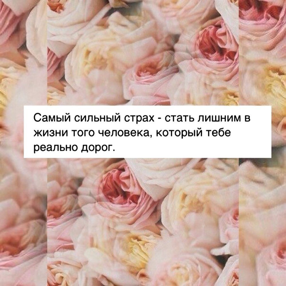 Цитаты из инстаграмма