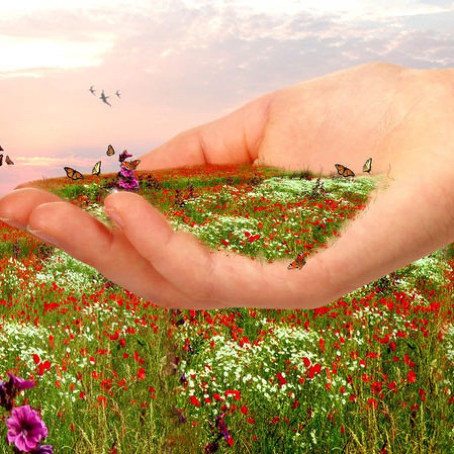 Спасибо за мирное небо над головой