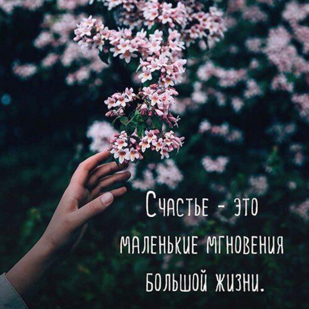 Афоризмы про счастье