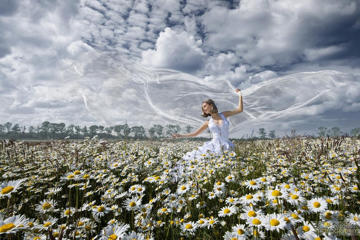 Жизнь мечты