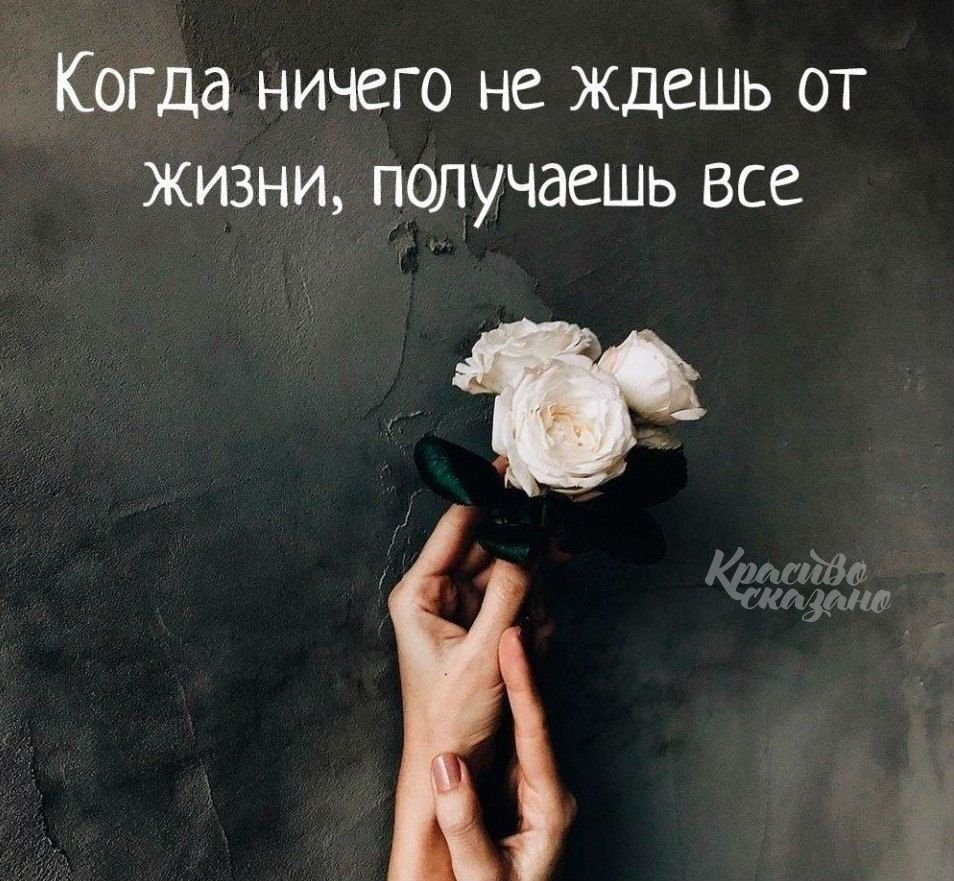 Красивые цитаты