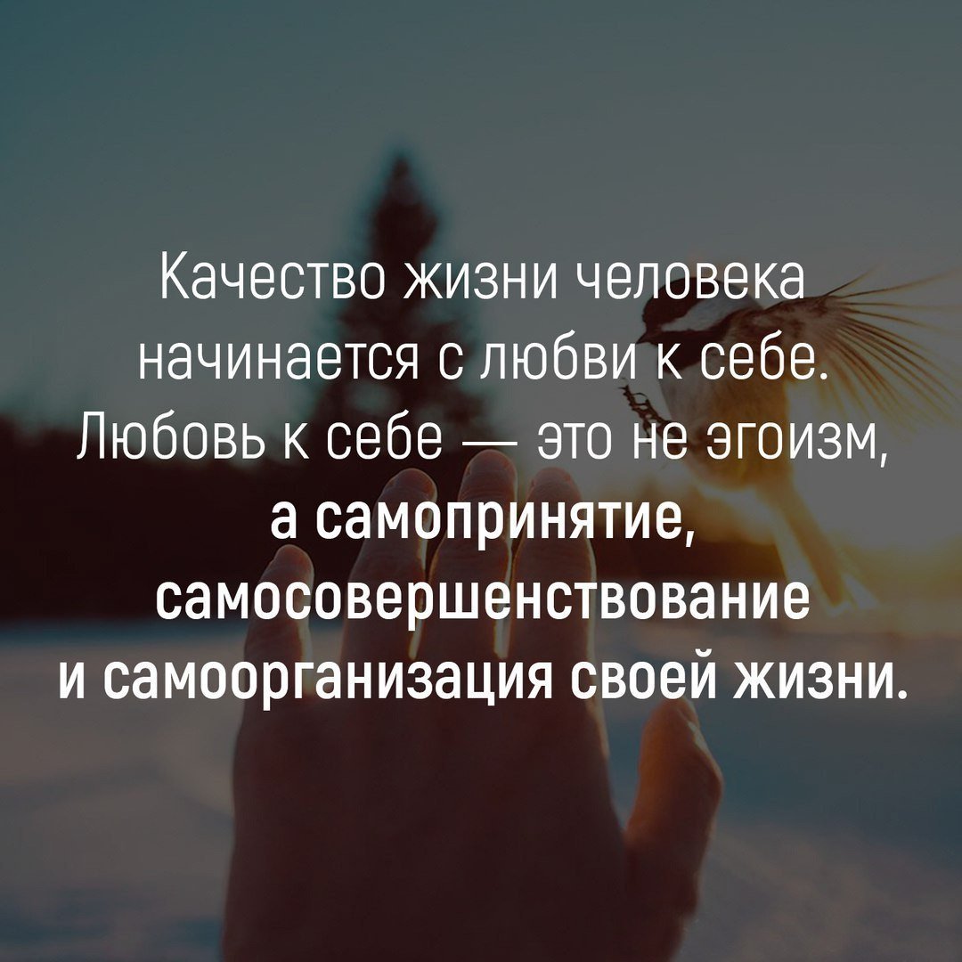 Психологические высказывания