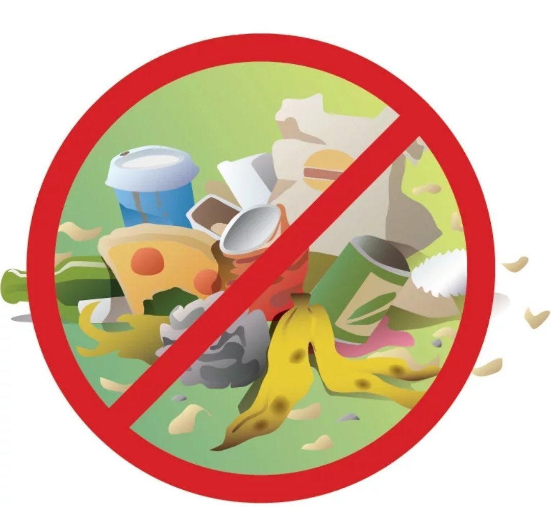 Правила поведения на природе