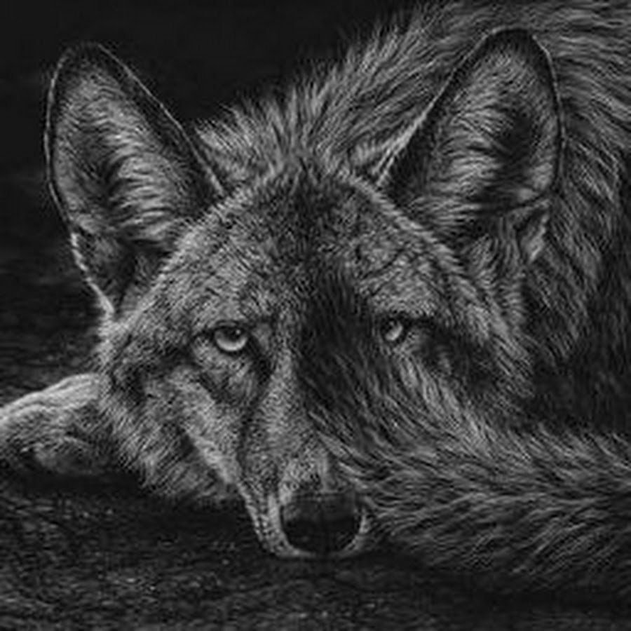 Кристина Пенеску граттаж