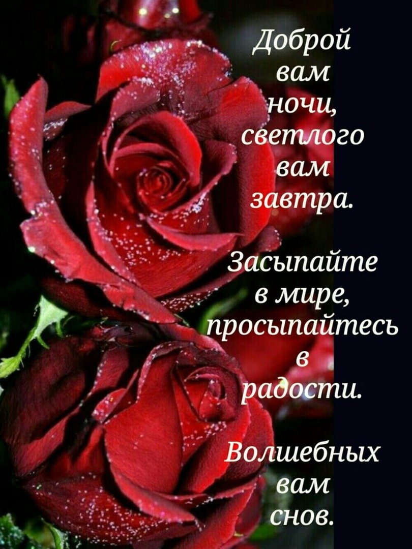 Спокойной ночи