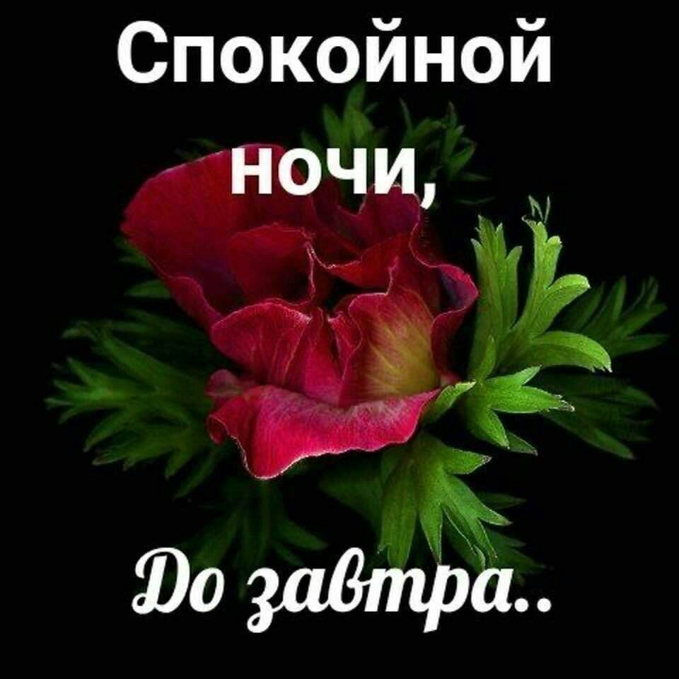 Красивых снов