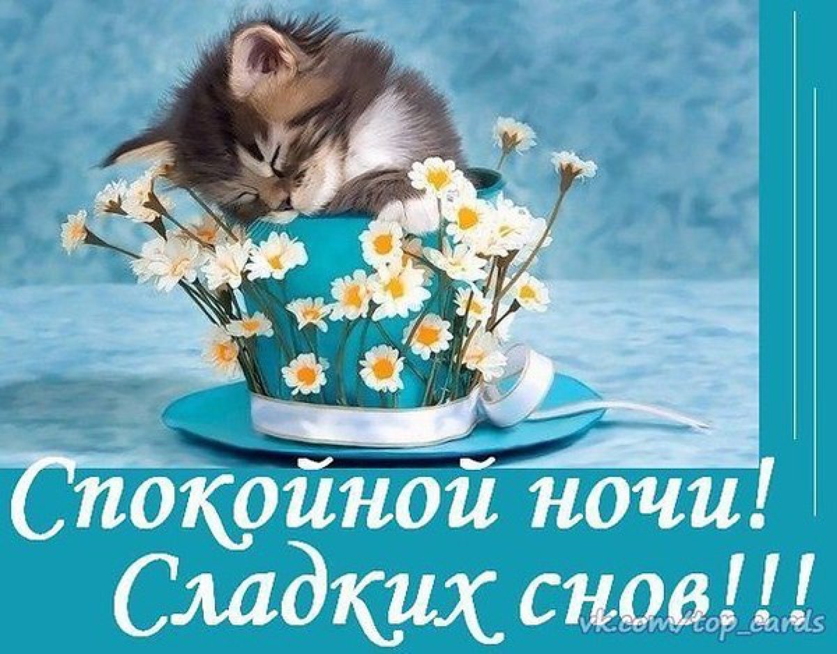 Открытки спокойной ночи сладких снов