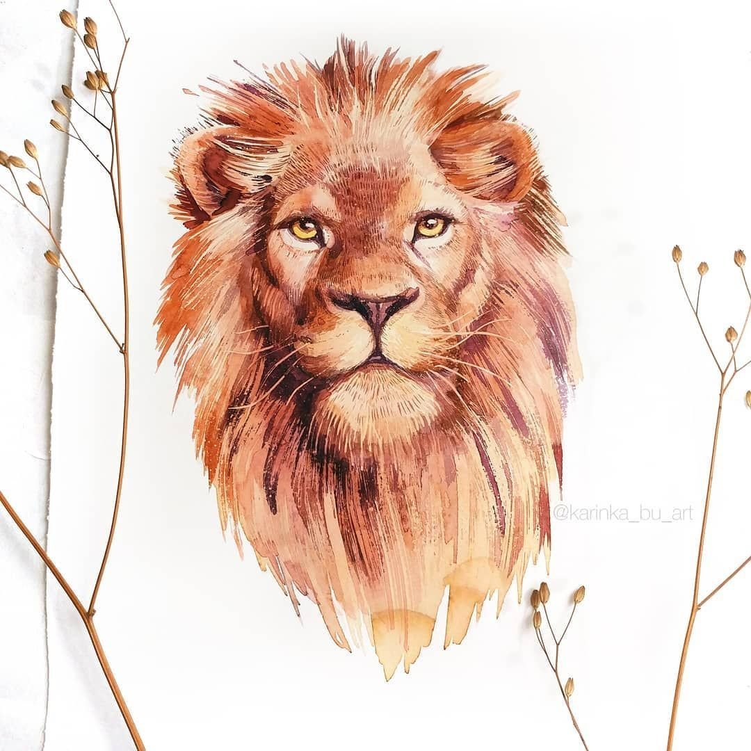 Акварельные скетчи Лев
