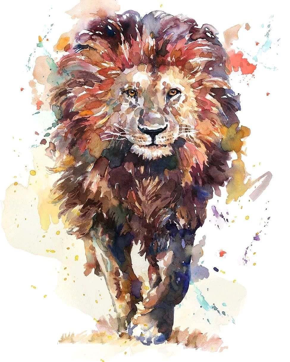 Лев акварель эскиз