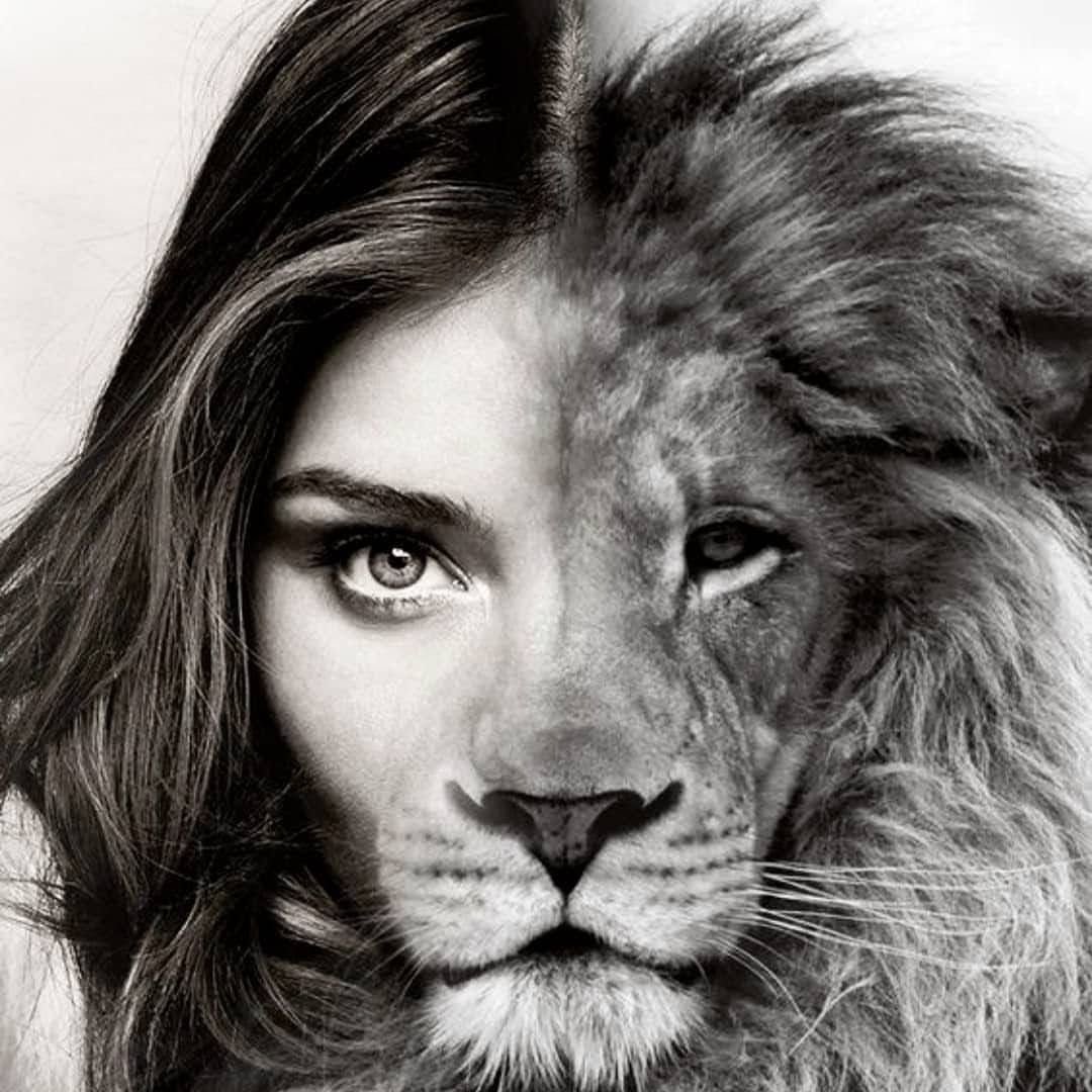 Акварель семейство львы Наталья Каданцева