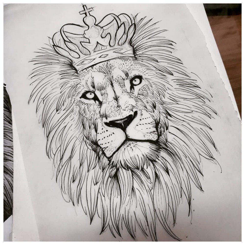 Fredao Oliveira эскизы Лев