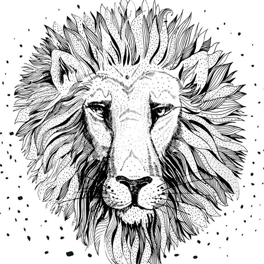 Морда Льва с разных ракурсов