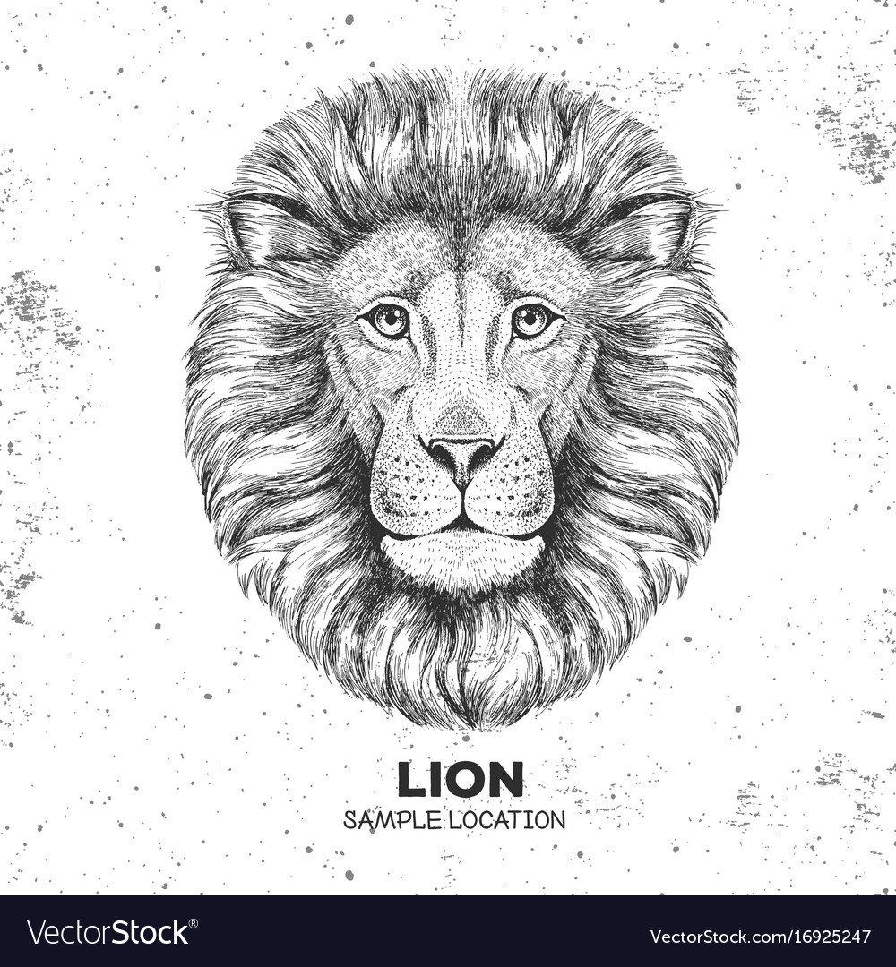 Тату Лев цветной