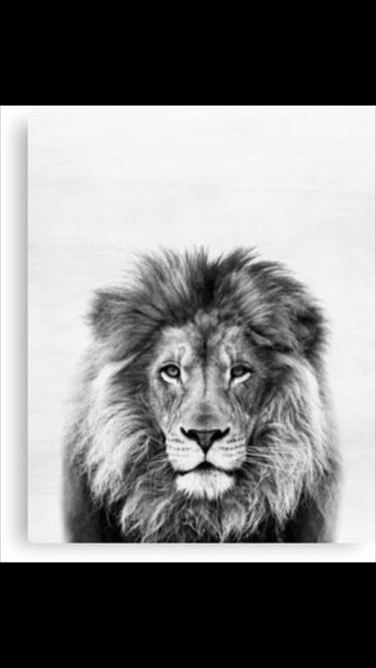 Идеи для рисования красками животные