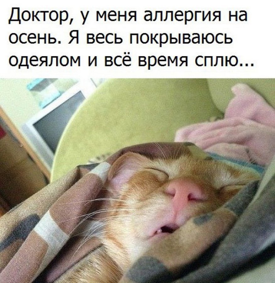 Настроение спать