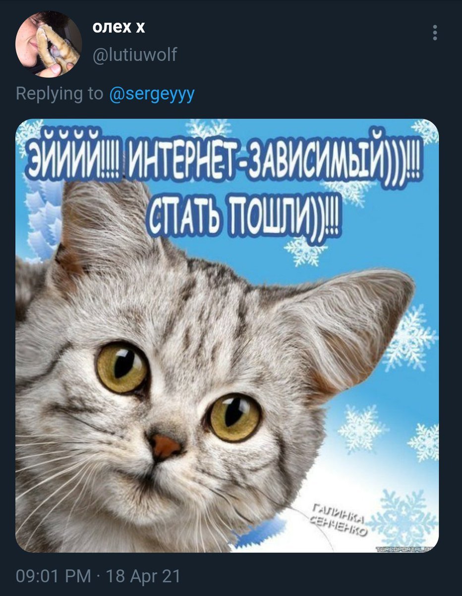 Эй интернет зависимый спать