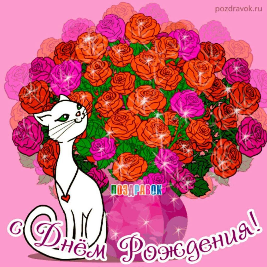Открытка с днём рождения с котиком стильная
