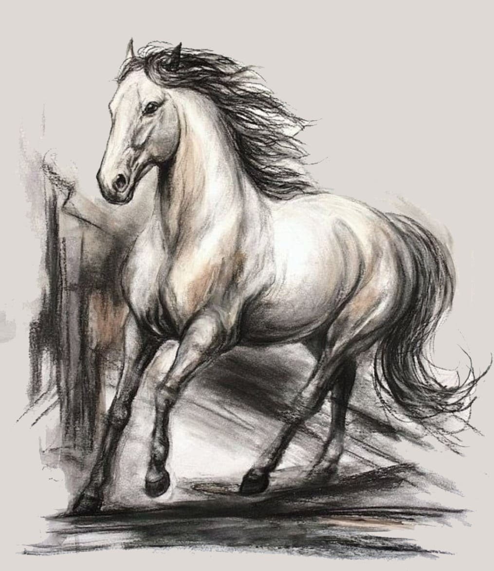 Лошадь карандашом