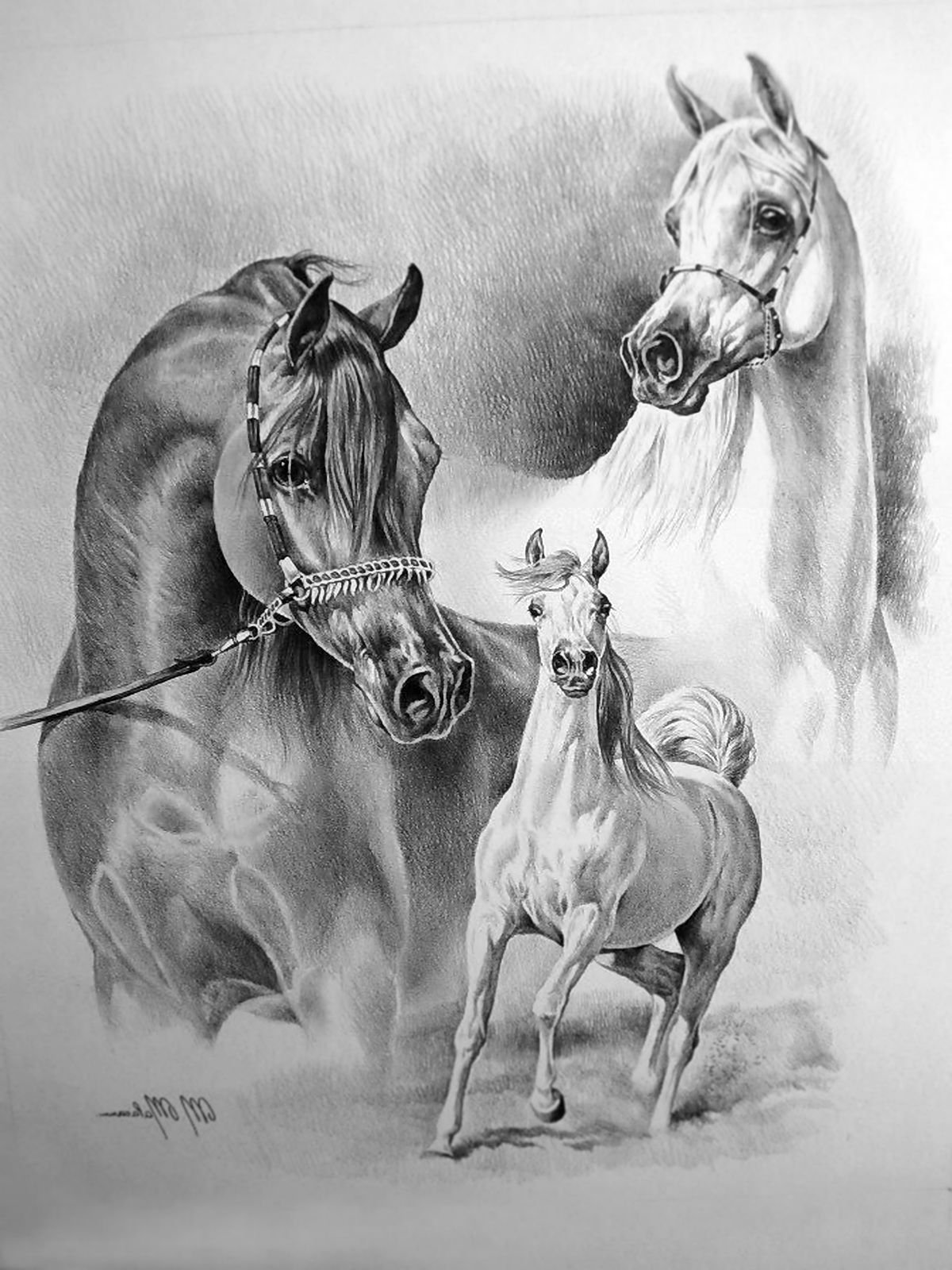 Лошадь рисунок карандашом