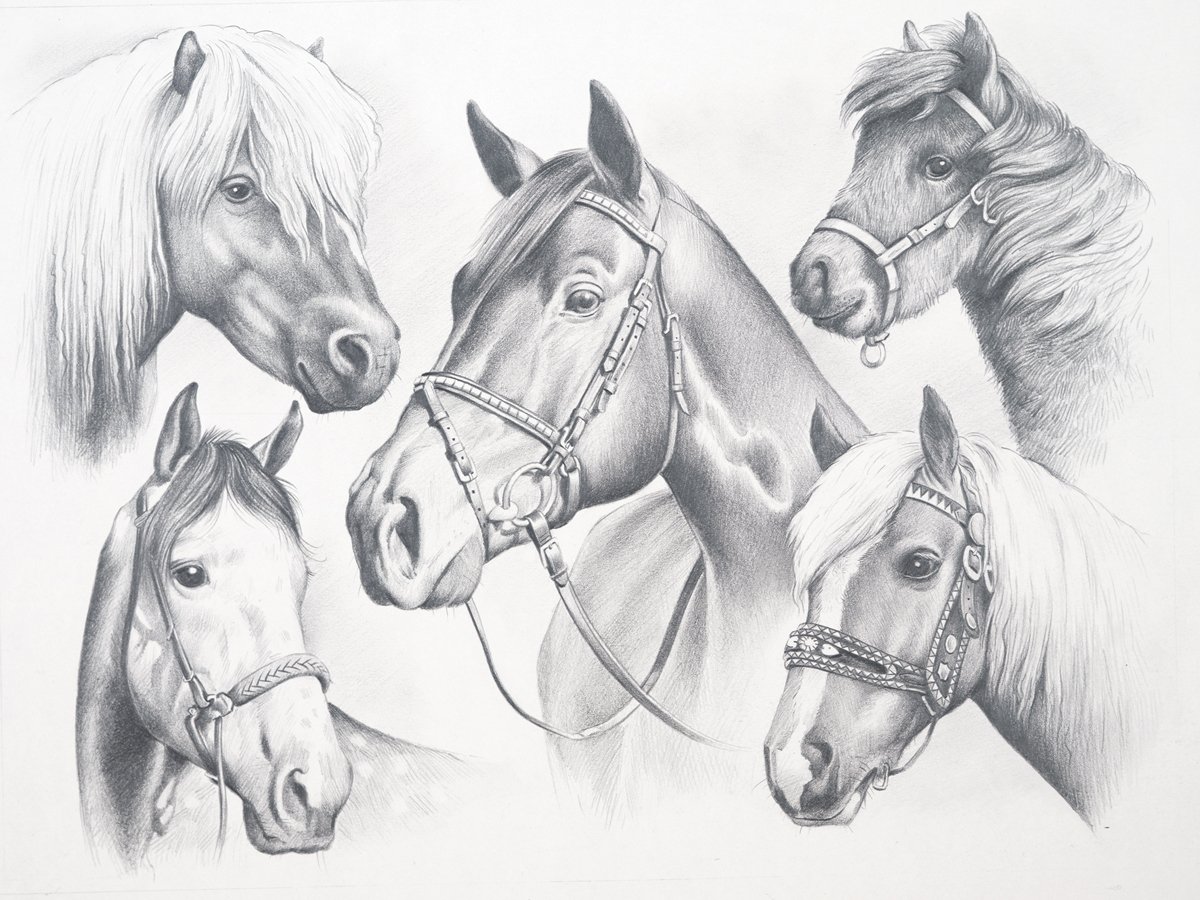 Картинки лошадей карандашом